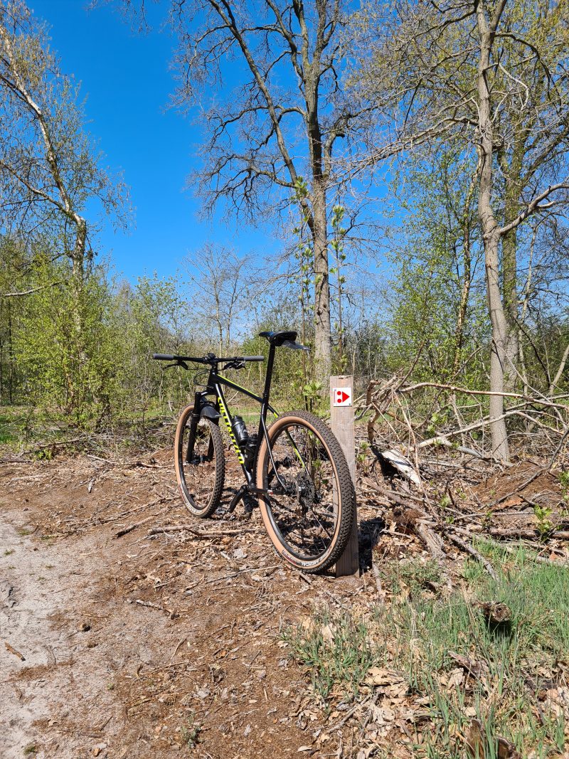 2023, doelen en&nbsp;plannen!